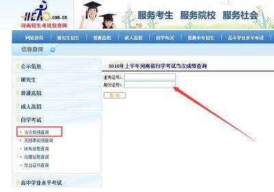 河南科技大学自学考试成绩查询入口