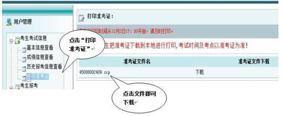 远程教育统考准考证打印